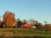 Farm Panoramic
