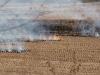 Burning the fields